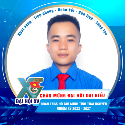Nông Đình Việt